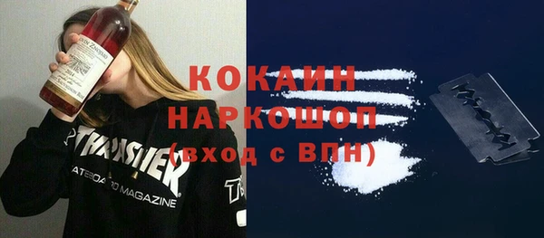 spice Няндома