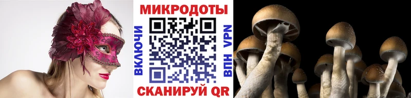 Псилоцибиновые грибы прущие грибы Лиски
