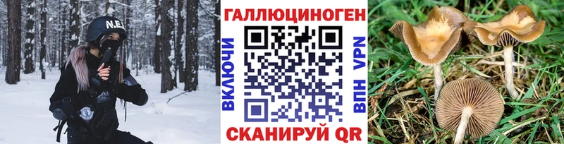 гидра рабочий сайт  Лиски  Псилоцибиновые грибы мицелий 