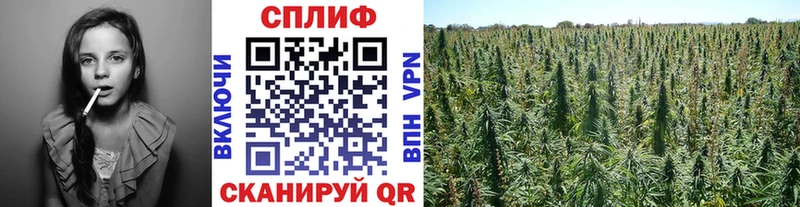 Шишки марихуана LSD WEED  Лиски 